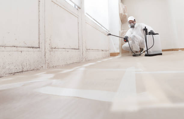 24/7 Emergency Attic Mold Removal experts in Arlington, GA